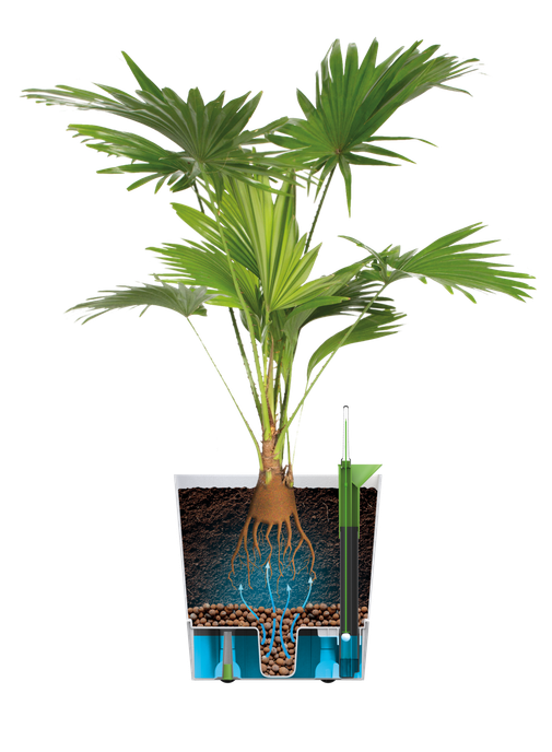 greensense aqua care rond 35cm licht beton